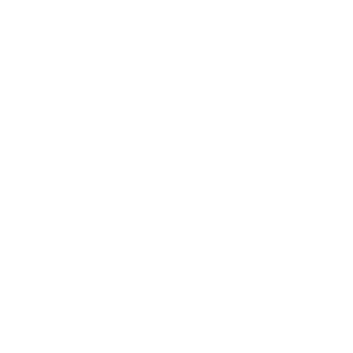 Crystal Eyebrows