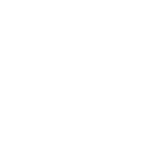 Vertice Home Inspection