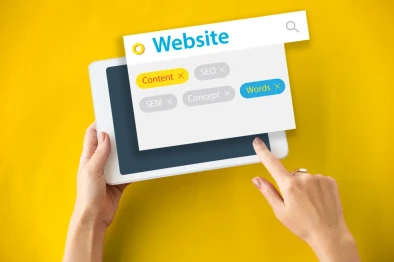 Domain Registration & Web Host